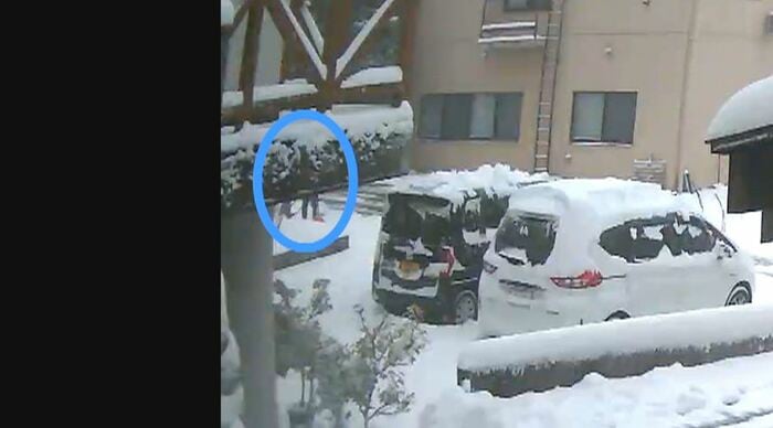 男性がクマと遭遇し声を上げる