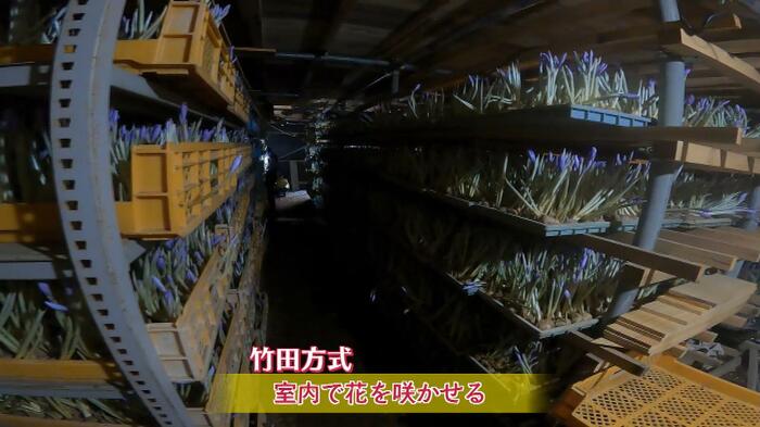 竹田方式