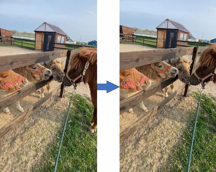 口をパクパクしている
