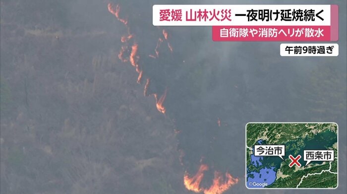 24日午前9時過ぎの、山火事の様子。発生から一夜明けても、赤い炎が見える(愛媛・今治市)
