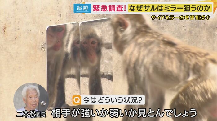 サル