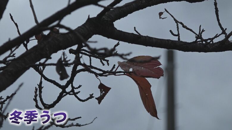 「冬季うつ」に注意　日照時間が短くなりセロトニン分泌が減少　過眠や過食になる傾向も｜FNNプライムオンライン