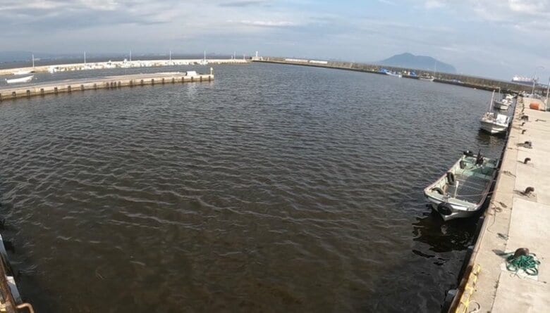 【北海道でことし初の赤潮】海水からプランクトン「ヘテロシグマ・アカシオ」を確認―北斗漁港で海水が“着色”「漁業被害は確認されず」｜FNNプライムオンライン