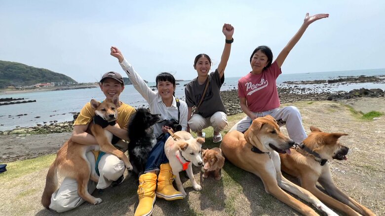 「その子の個性を引き出してあげたい」保護犬を“とびっきりの1枚”で新しい家族につなぐ！シャッターを切り続ける写真家【アスヨク！】｜FNNプライムオンライン