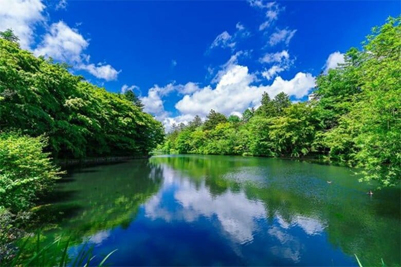日本の避暑地ランキング! ~2位「富良野」を抑え1位に輝いたのは? 阪急交通社が公開~