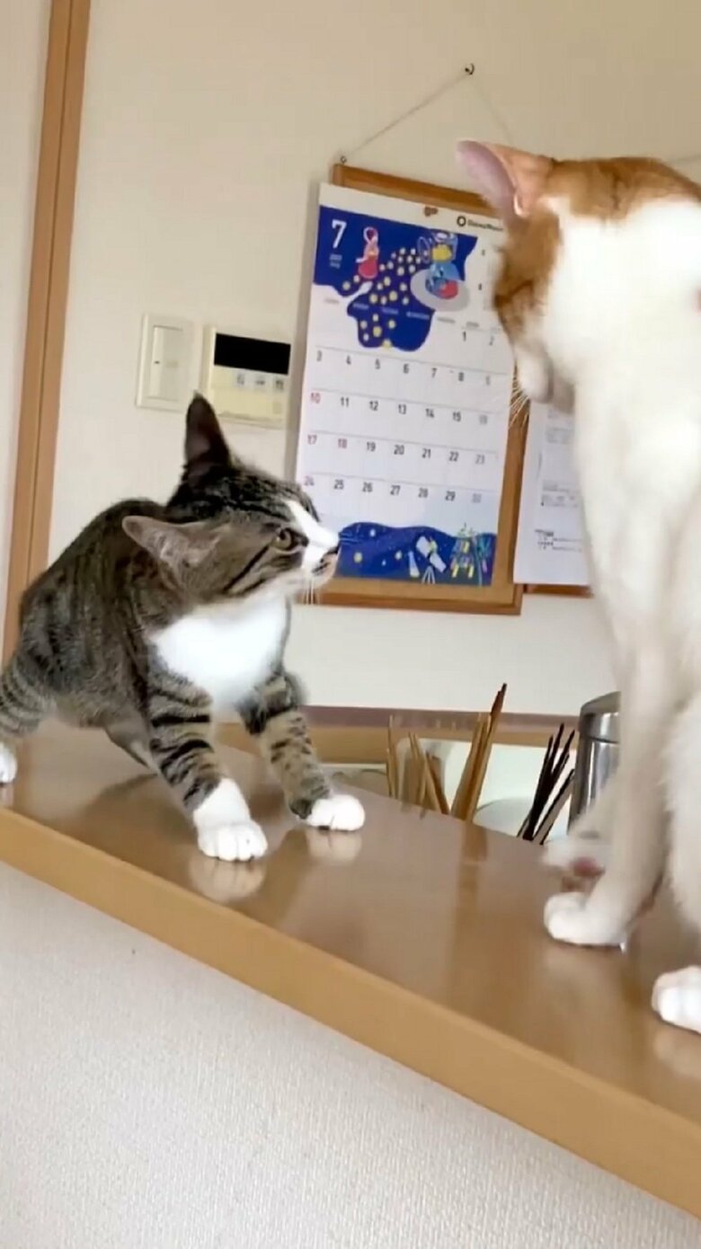 プロレスごっこを仕掛ける大三くん
