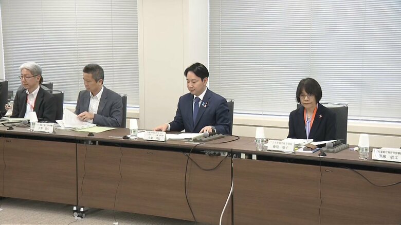 こども関連業務従事者の性犯罪歴等確認の仕組みに関する有識者の会議　