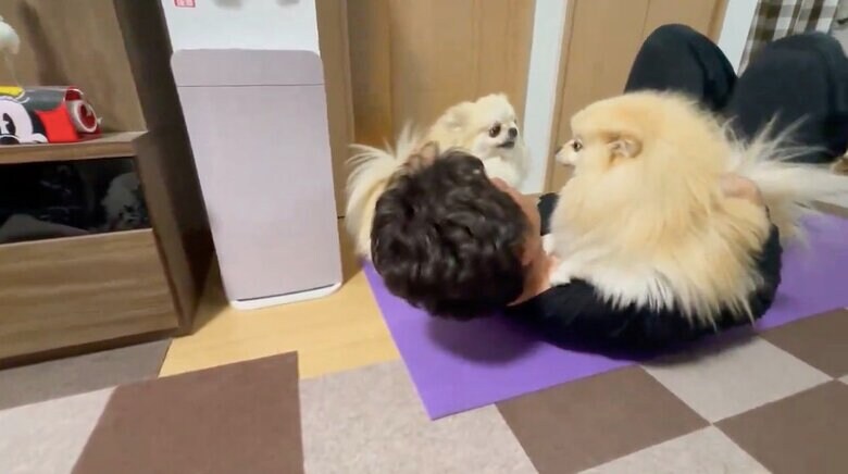 提供：愉快な3姉妹ポメラニアンちゃんねるさん