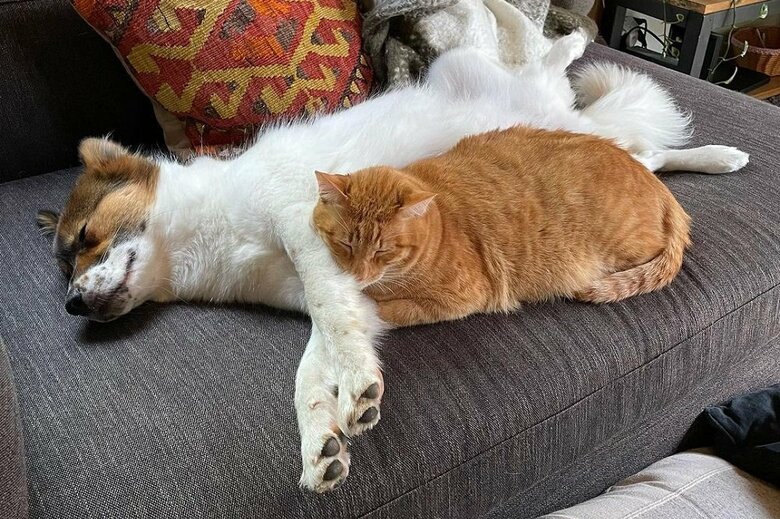 眠るときもぴったり