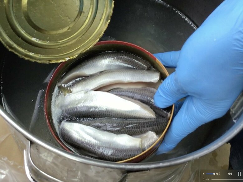 缶を開けたところ（実物）