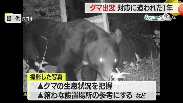 カメラはクマの生息域とのギリギリのラインに設置。出没状況などにより設置場所を移動している