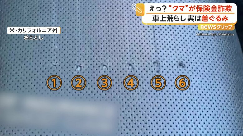 ひっかき傷が6本