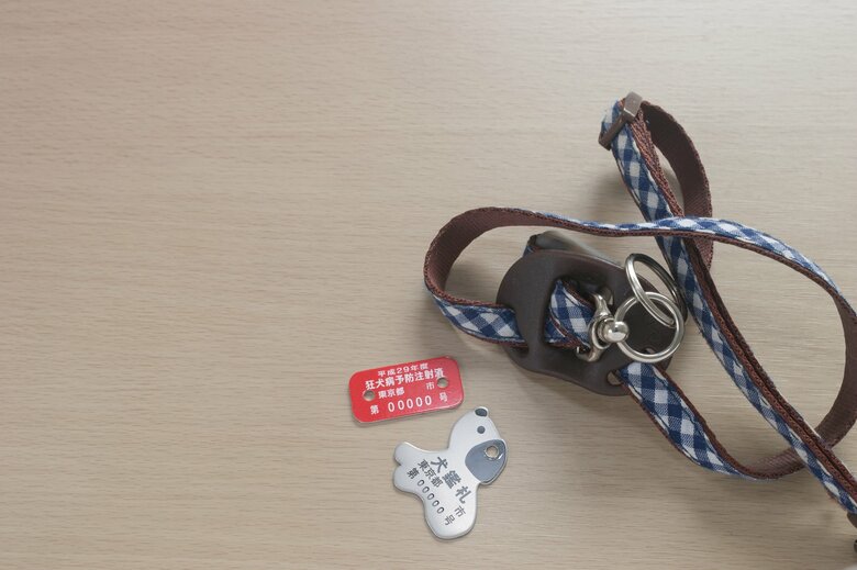 首輪に鑑札も付けておくと離ればなれになった時に再会できる可能性が上がる（画像はイメージ）