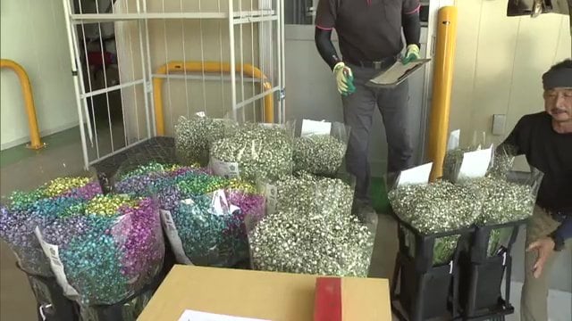 夏秋の出荷量日本一