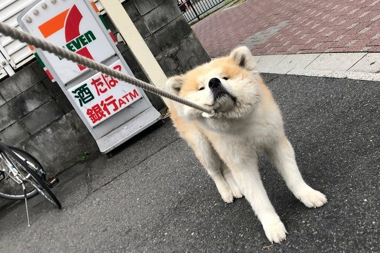 セブン－イレブンの前でもNO！