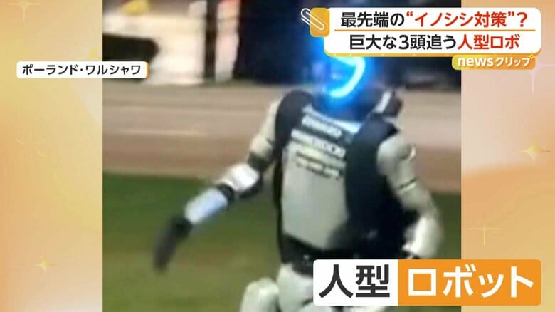 走ってきた人型ロボット（Edward Warchocki）