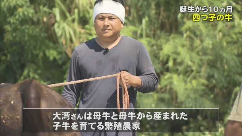 大湾畜産・大湾守一さん