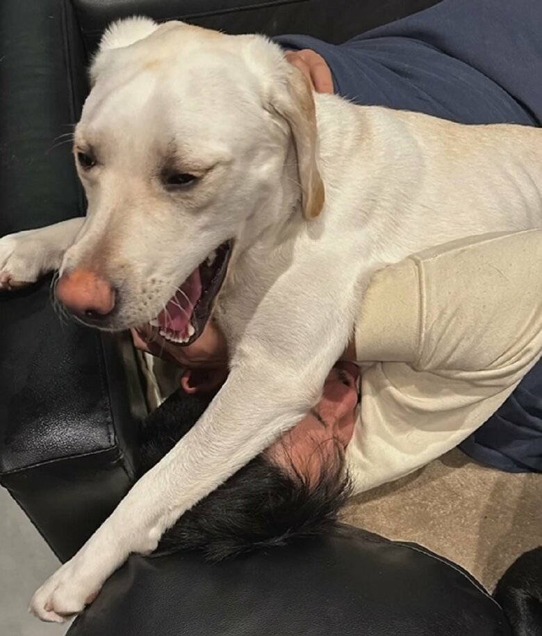 全身を使って起こしてくる