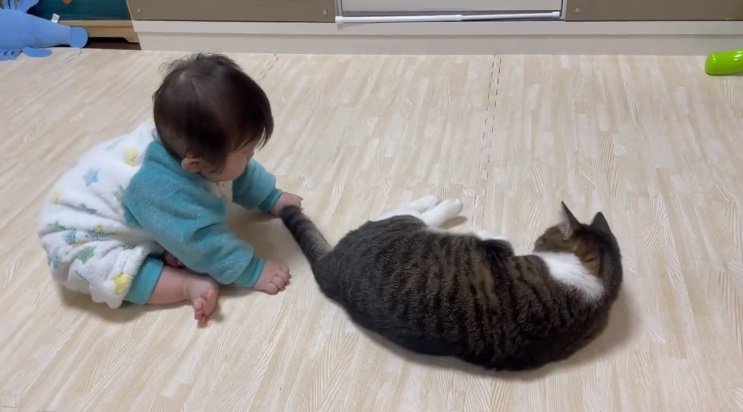 こばんちゃんはたまらず「ゴロン」