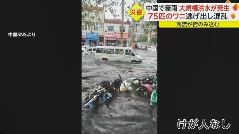道路が冠水