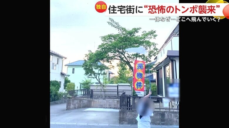 気味が悪いと異様な光景を眺めていたという撮影者たち