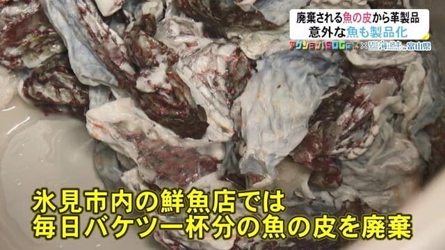 漁業の盛んな氷見市では魚の皮も多く廃棄される