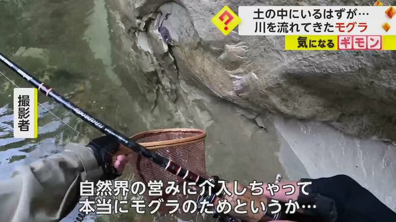 釣りで使っていたタモでモグラを救助する撮影者の男性
