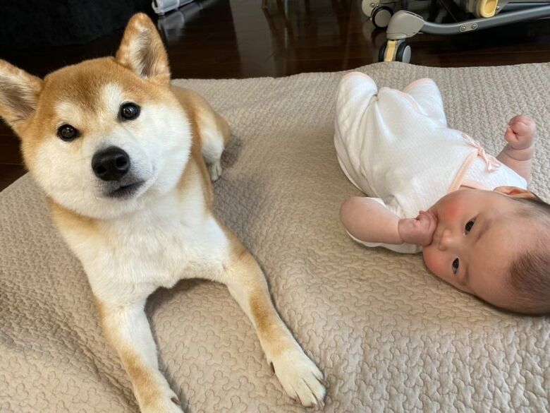 提供：torakichi602さん