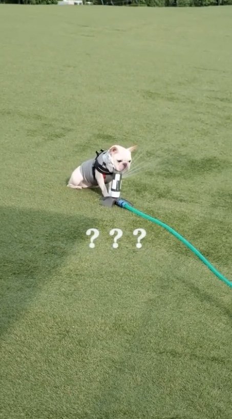 提供：むぎさん