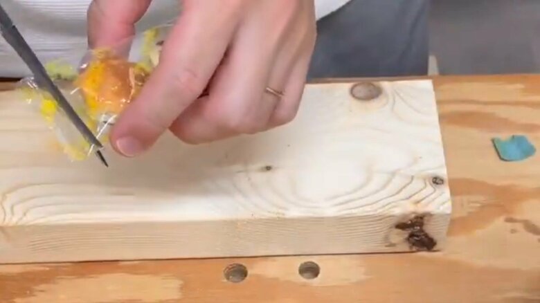 パイの実を再現した作品の制作工程1