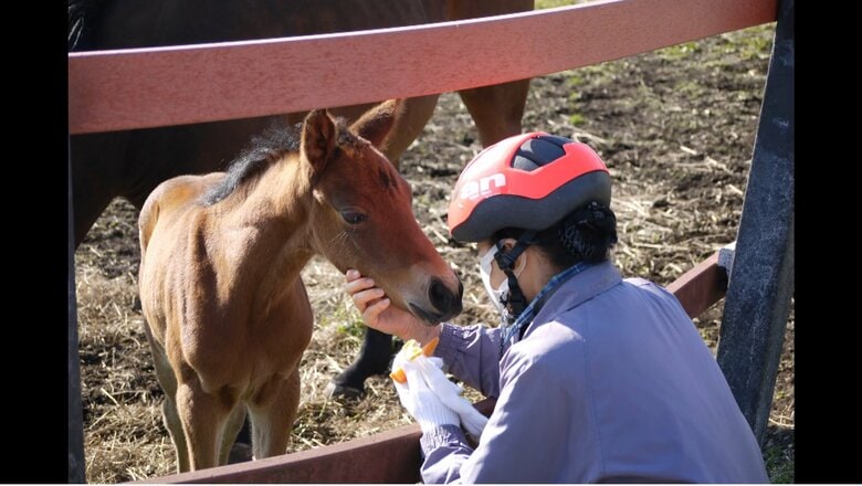 2023年撮影　宮内庁提供