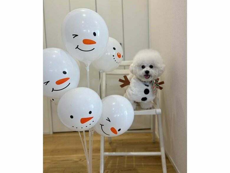 エマくん（提供：エマ emmaさん）