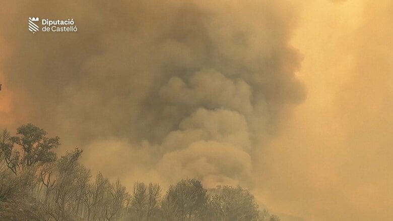 ヨーロッパでは熱波と強風の影響で山火事が相次ぐ事態に（スペイン東部カステリョン県　7月26日）