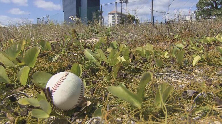 万波選手が放った特大弾は場外海沿いに着弾