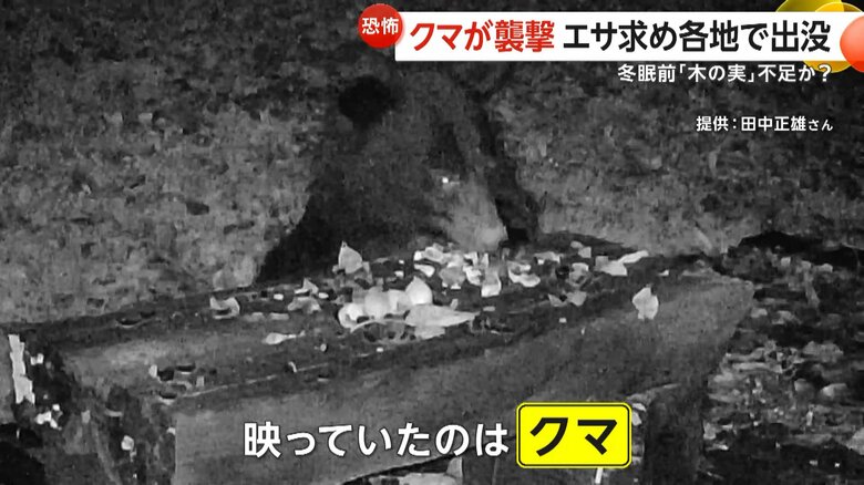 住宅の裏庭に現れたのは、体長約1.5mのクマ（13日午前3時頃、宮城・加美町）
