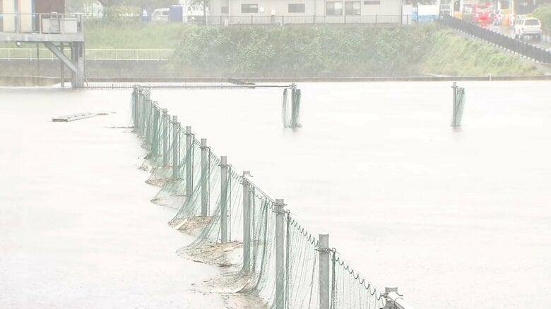 2026年6月3日午前9時頃の野川