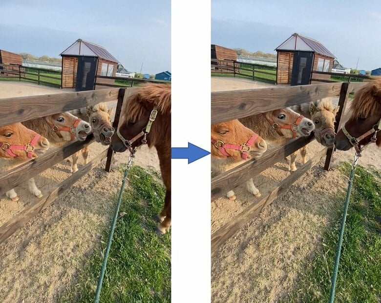 口をパクパクしている