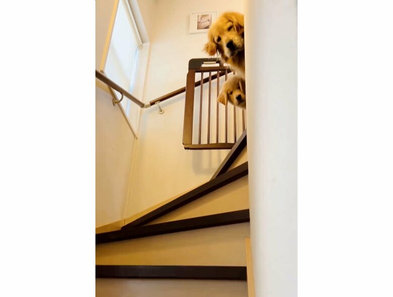 提供：efrinmanさん