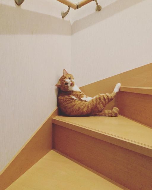 提供：赤瀬川和寿さん