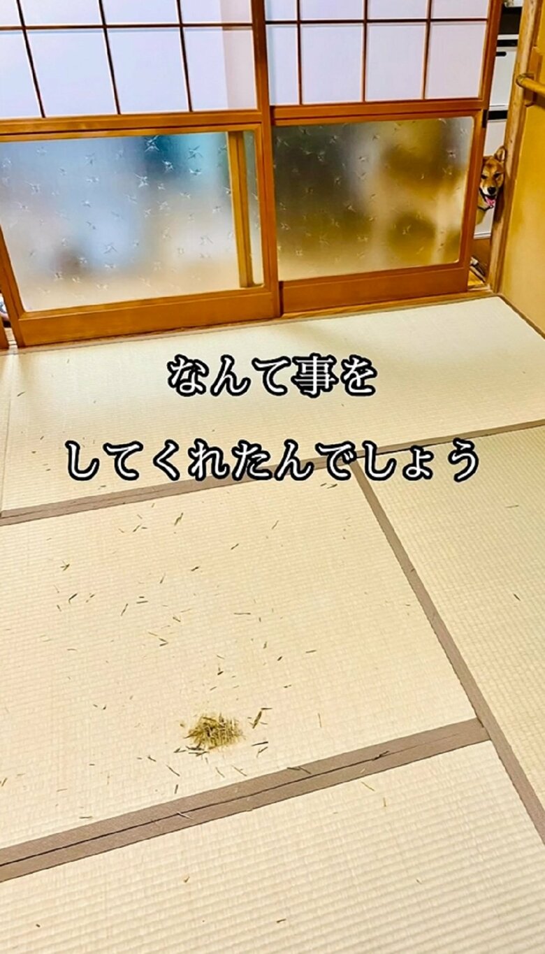 なんて事をしてくれたんでしょう