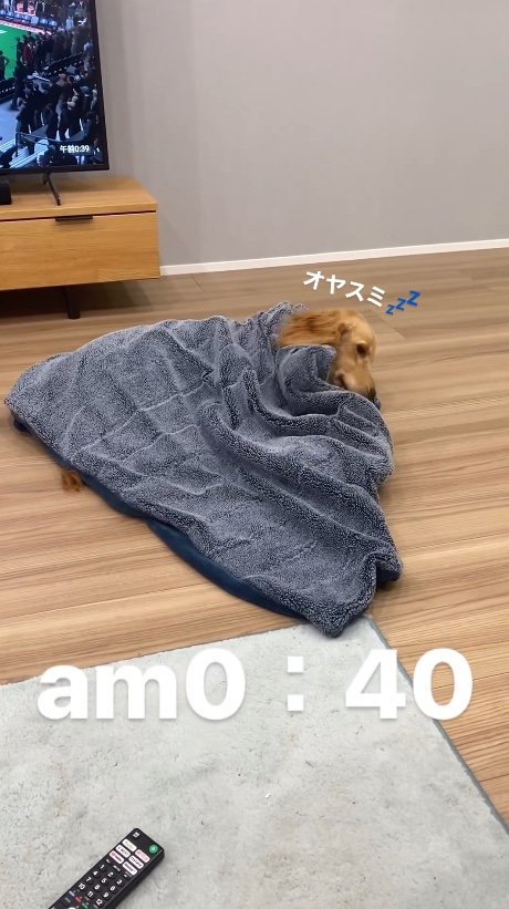 提供：関口和也さん