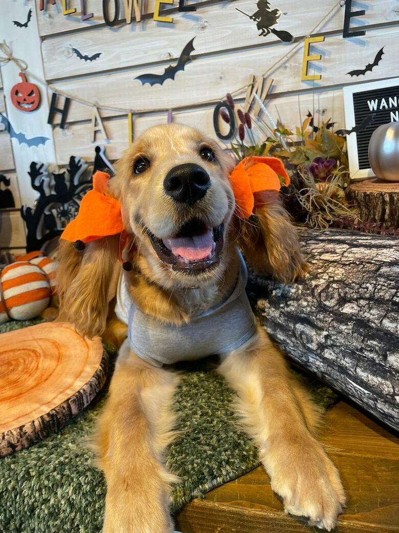 提供：関口和也さん