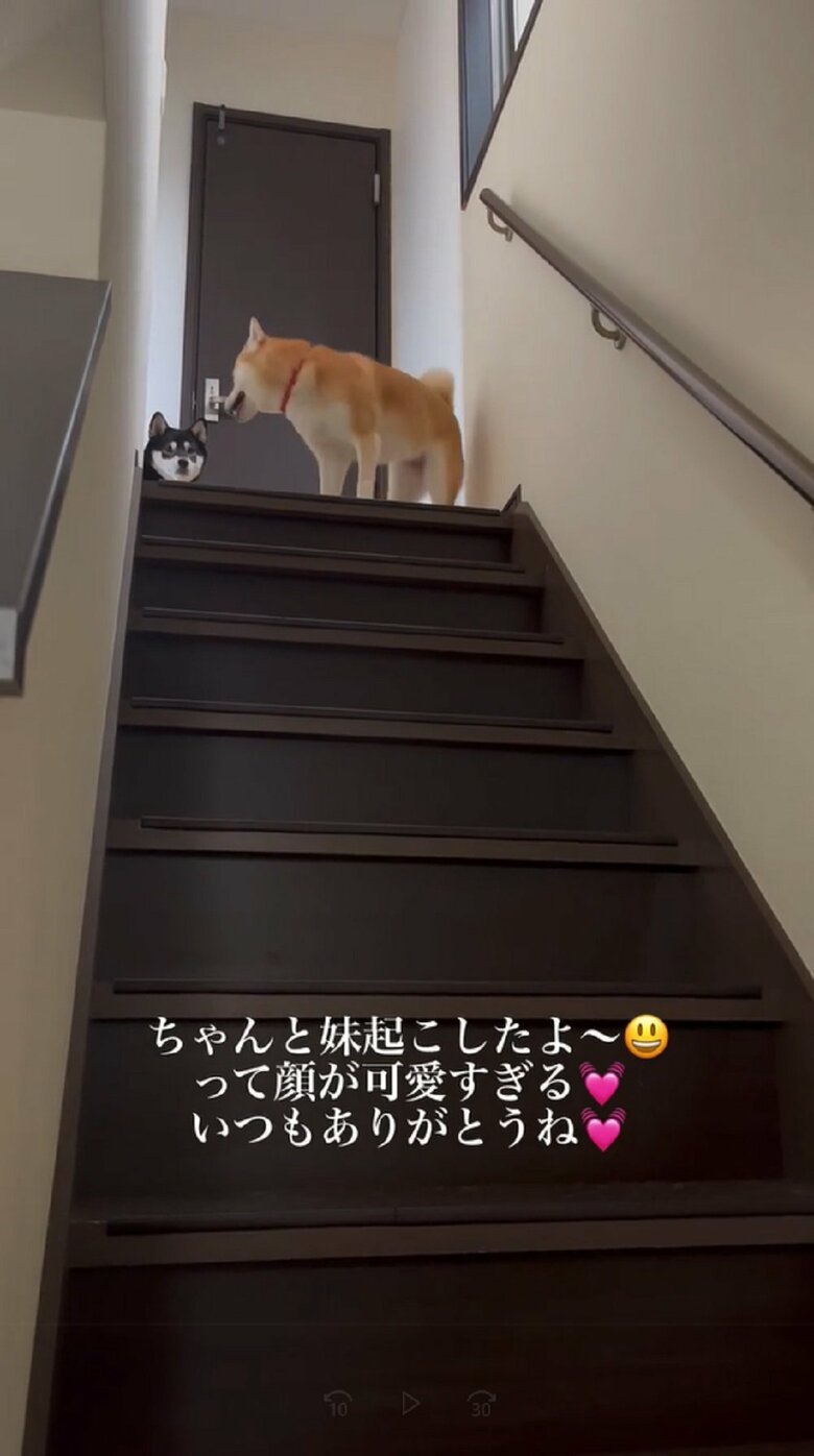 「ほらね」というように、小豆ちゃんを確認する豆ちゃん