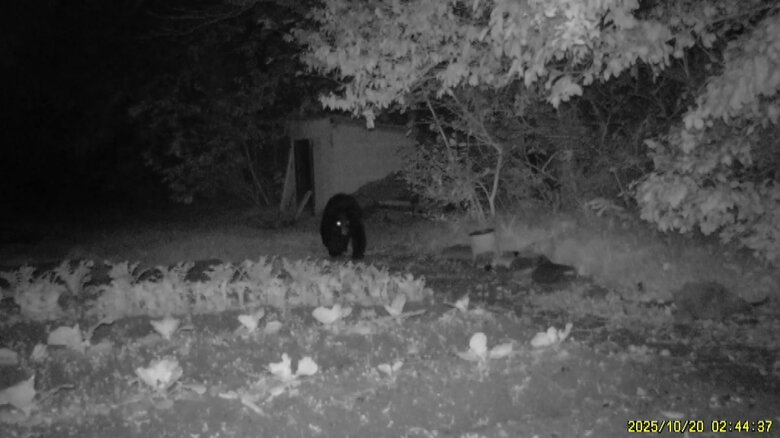 20日　AIカメラによる画像（富山市提供）