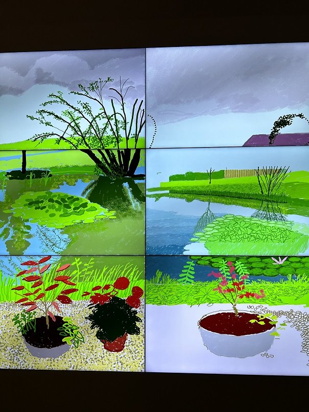 《2021年6月10日-22日、池の睡蓮と鉢植えの花》 