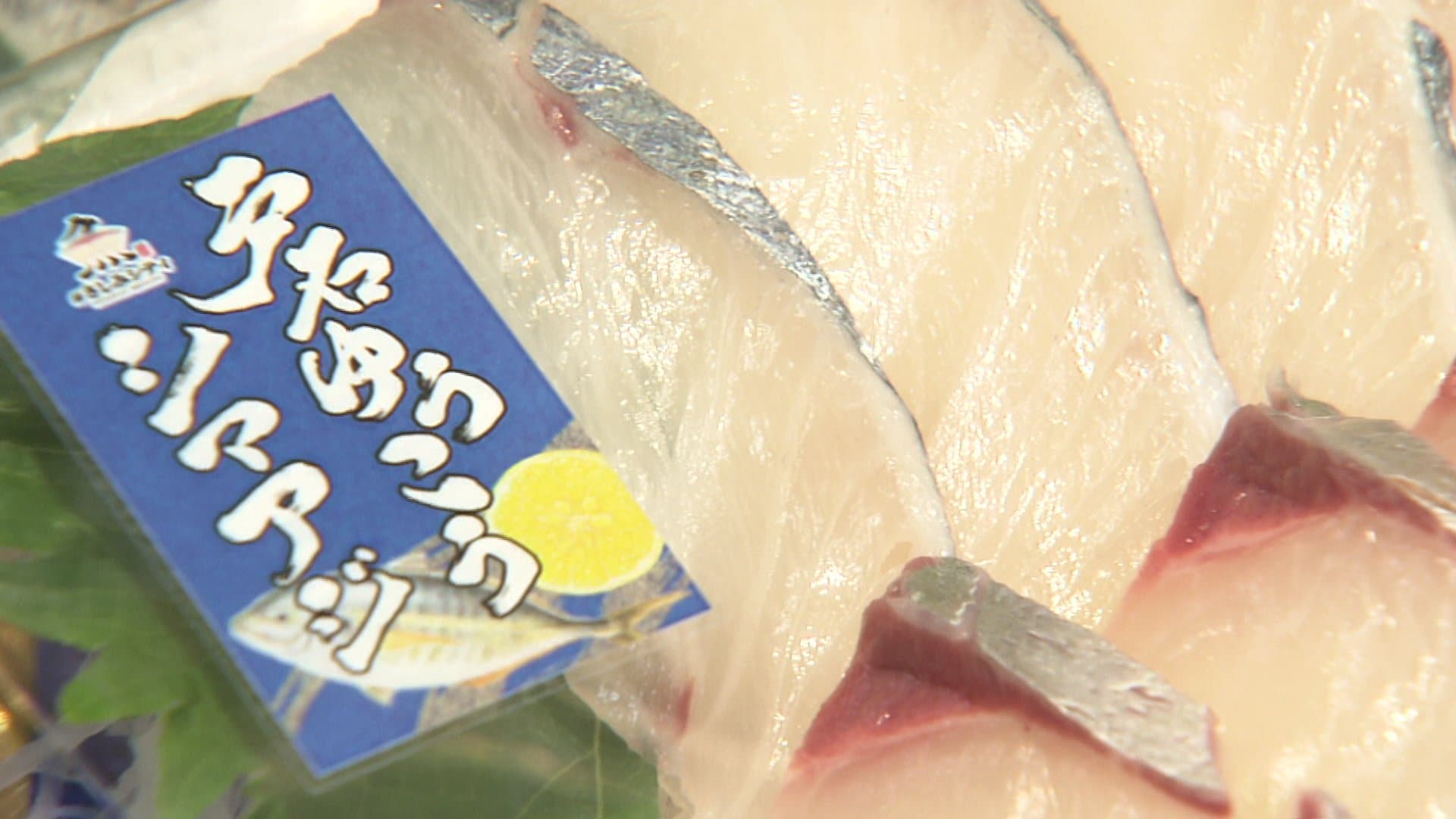 「一時は廃業寸前に…」赤潮被害からの“復活”　長崎のブランド魚「戸石ゆうこうシマアジ」が販売再開