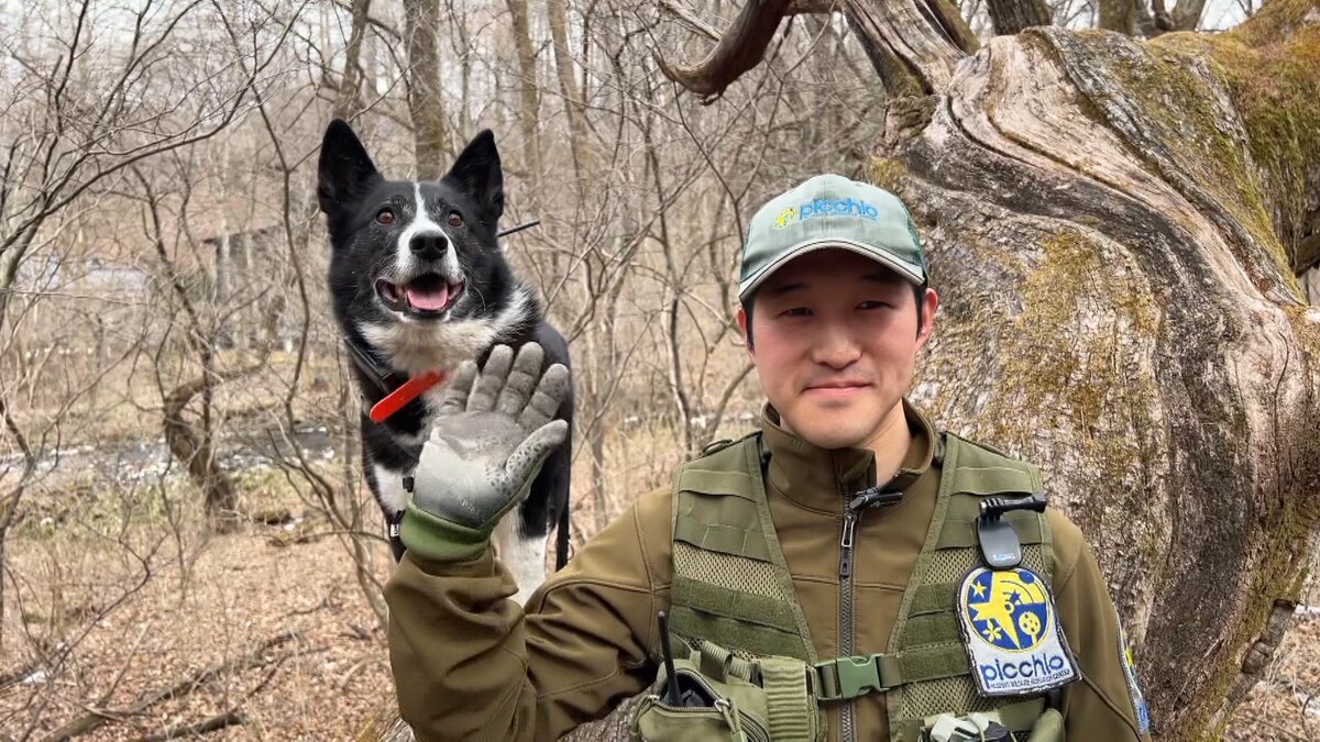 吠えて吠えて森へ返す！“クマを傷つけずに人を守る”クマ専門の探知犬