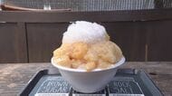 桃3つ使って800円…寺の境内に『かき氷』と『たい焼き』が名物の甘味処 海外からの客も訪れる人気の秘密