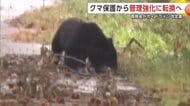 クマ、保護から“管理強化”に転換へ　環境省がガイドライン改定案を公表