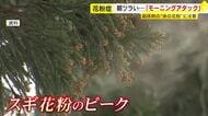起床直後に花粉症の症状がつらい「モーニングアタック」　有効なのは空気清浄機より加湿器　重い症状には注射治療も　福岡